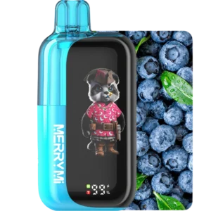 Jednorazowy e-papieros Panda-X 40K smak Crazy Blueberry (intensywna borówka).
